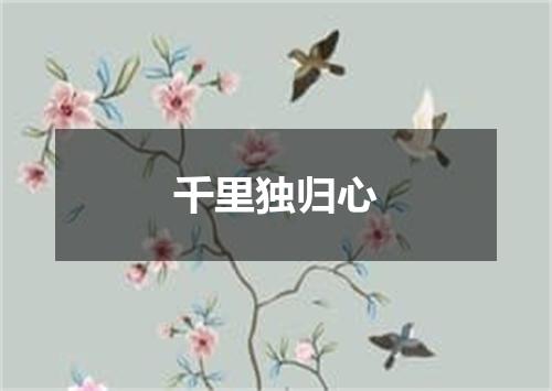 千里独归心
