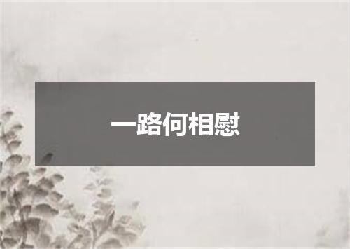 一路何相慰