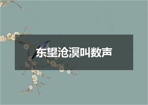 东望沧溟叫数声