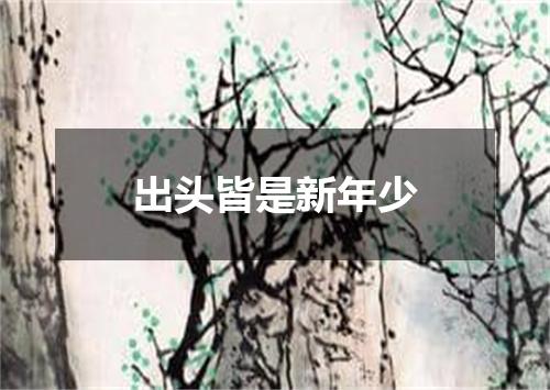 出头皆是新年少