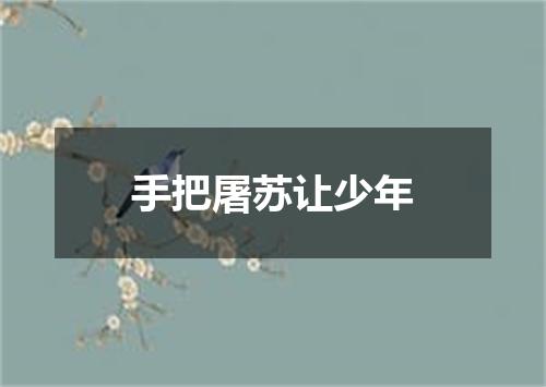 手把屠苏让少年