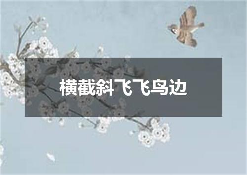 横截斜飞飞鸟边