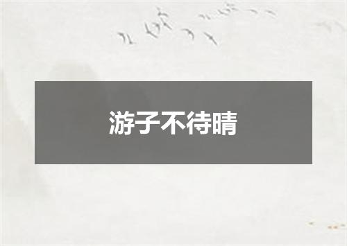 游子不待晴
