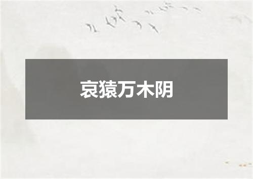 哀猿万木阴