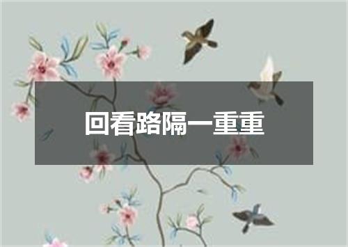 回看路隔一重重