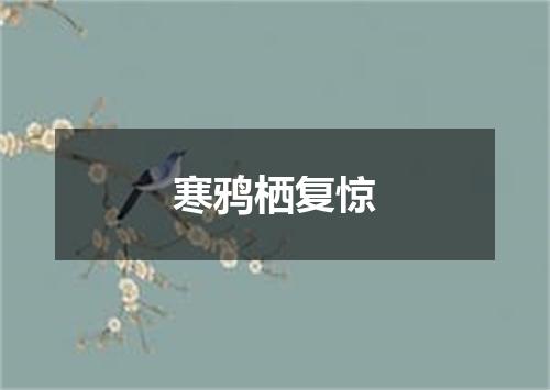 寒鸦栖复惊