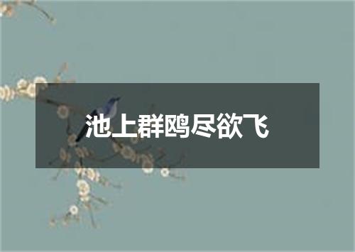 池上群鸥尽欲飞