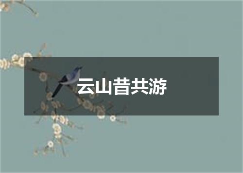 云山昔共游