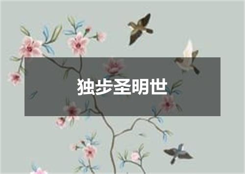 独步圣明世
