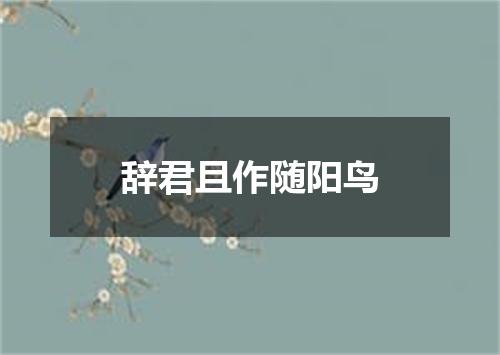 辞君且作随阳鸟