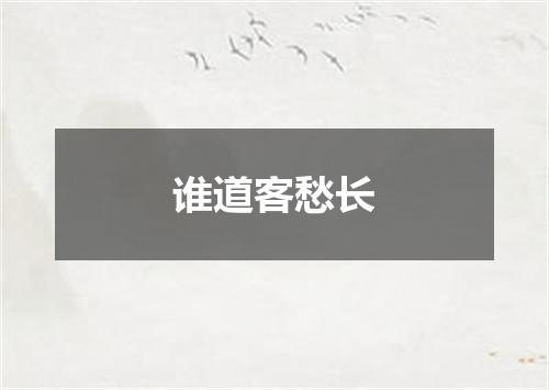 谁道客愁长