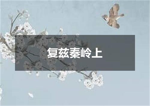 复兹秦岭上