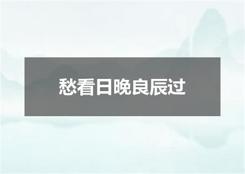 愁看日晚良辰过