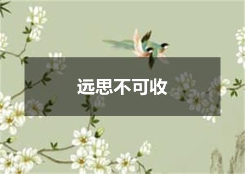 远思不可收