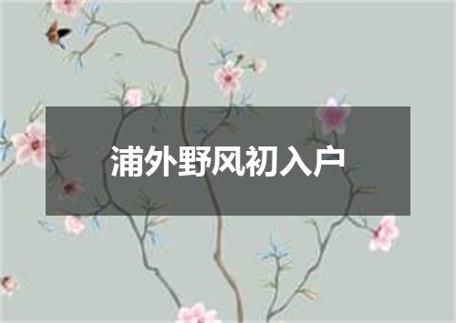 浦外野风初入户
