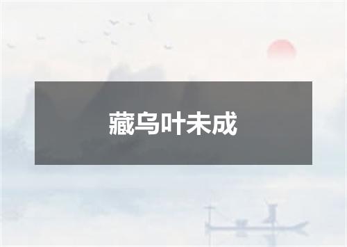 藏乌叶未成