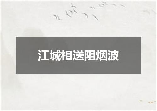 江城相送阻烟波