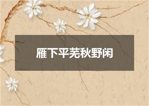 雁下平芜秋野闲