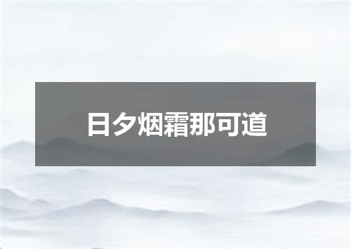 日夕烟霜那可道