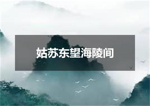姑苏东望海陵间