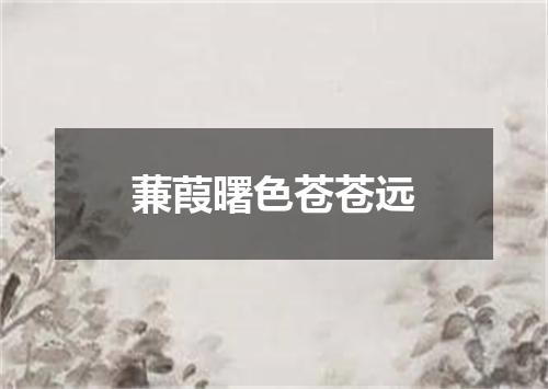 蒹葭曙色苍苍远