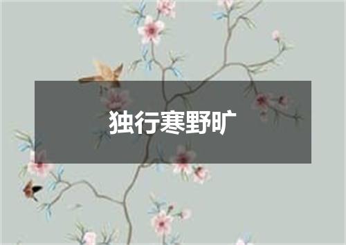 独行寒野旷