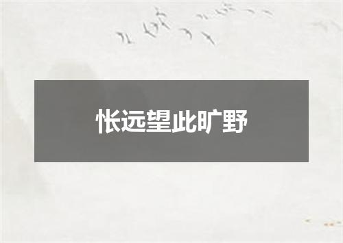 怅远望此旷野