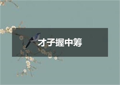 才子握中筹