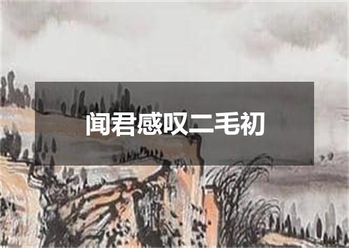 闻君感叹二毛初