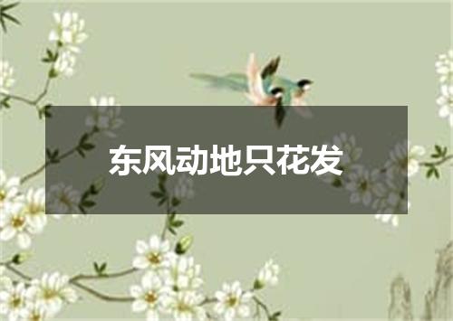 东风动地只花发