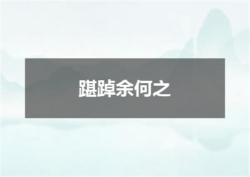 踸踔余何之