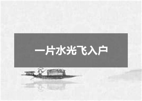 一片水光飞入户