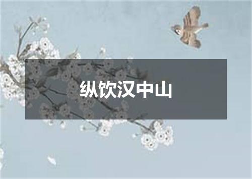纵饮汉中山