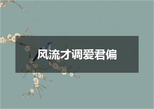 风流才调爱君偏