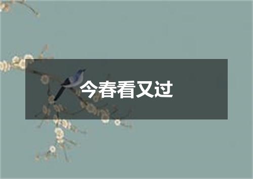 今春看又过