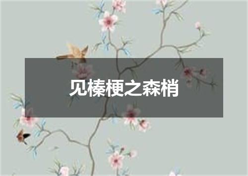 见榛梗之森梢