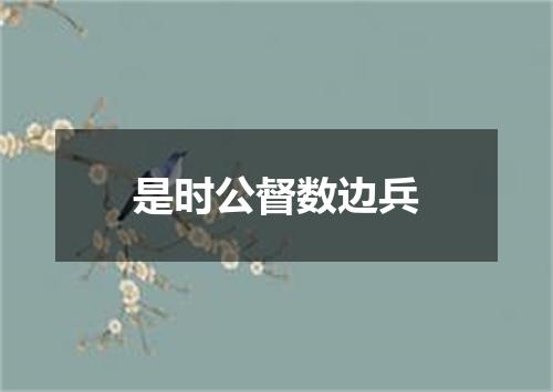 是时公督数边兵