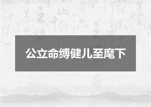 公立命缚健儿至麾下