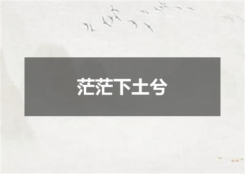 茫茫下土兮