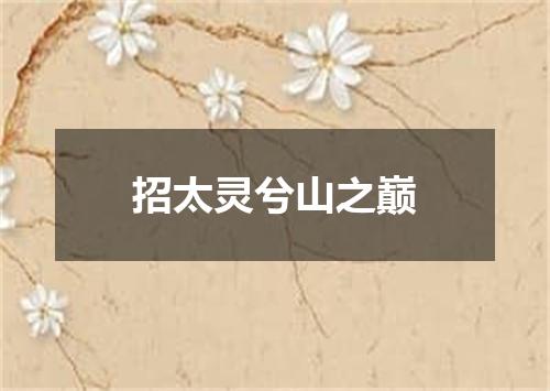 招太灵兮山之巅