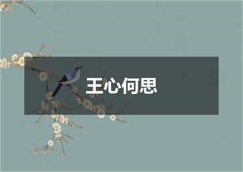 王心何思