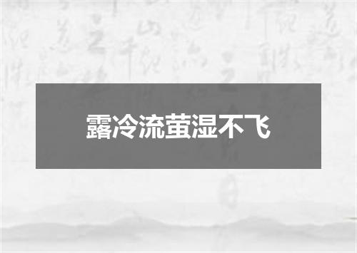 露冷流萤湿不飞
