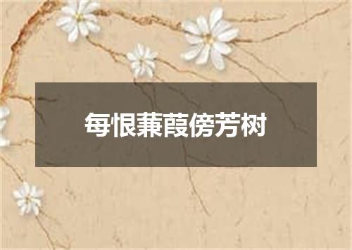 每恨蒹葭傍芳树