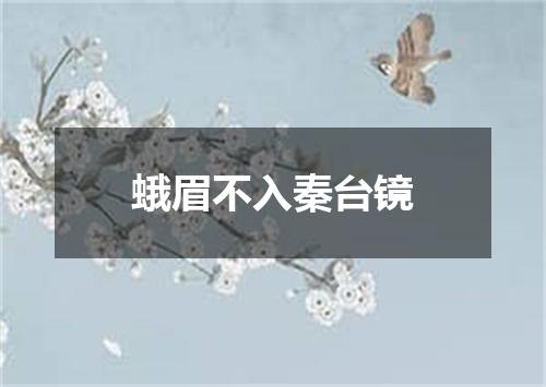 蛾眉不入秦台镜