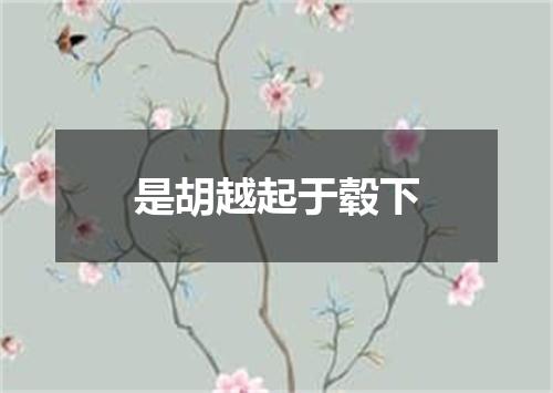 是胡越起于毂下