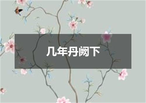 几年丹阙下