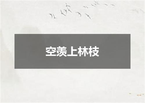 空羡上林枝