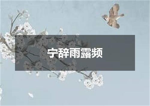 宁辞雨露频