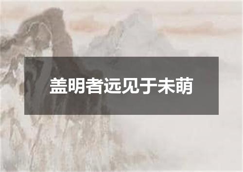 盖明者远见于未萌