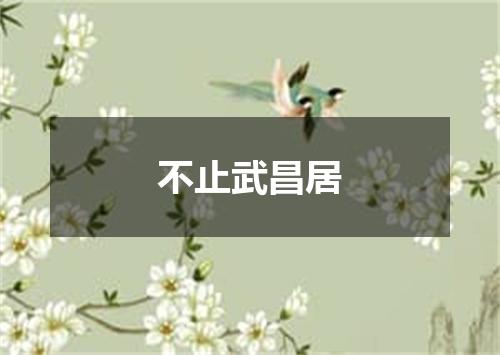 不止武昌居